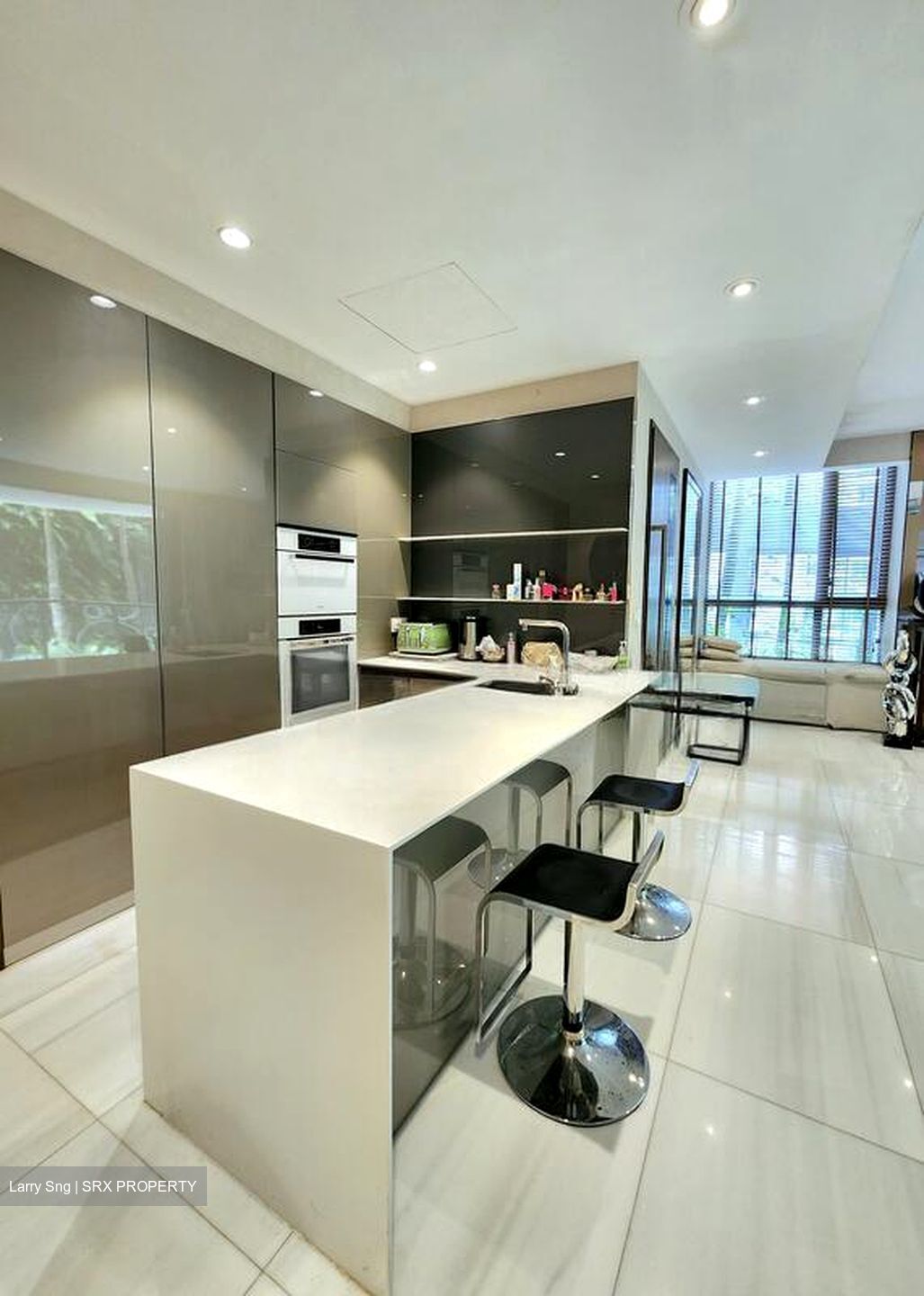 Hallmark Residences (D10), Condominium #544343981